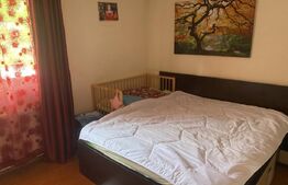 Casă Vatra Dornei 1750 mp