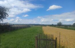 Teren intravilan la sosea, 6400 mp, Vicov de Sus