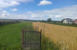Teren intravilan la sosea, 6400 mp, Vicov de Sus