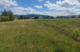 Teren intravilan la sosea, 6400 mp, Vicov de Sus