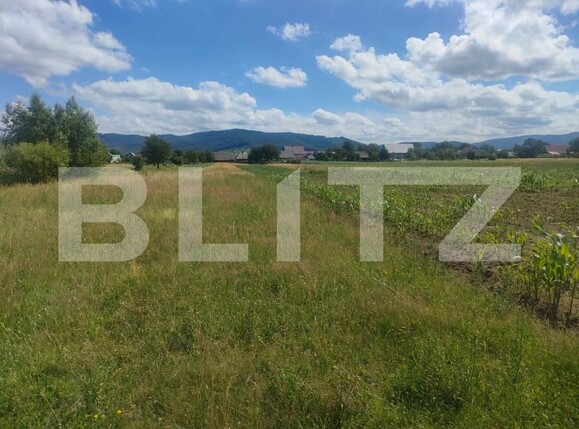 Teren de vânzare Vicovu de Sus - 153776TV | BLITZ Suceava | Poza1