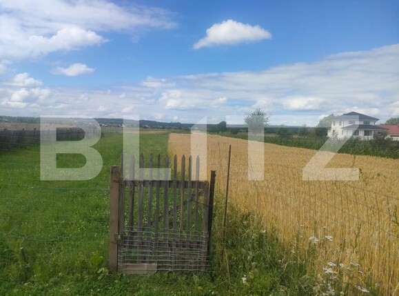 Teren de vânzare Vicovu de Sus - 153776TV | BLITZ Suceava | Poza4