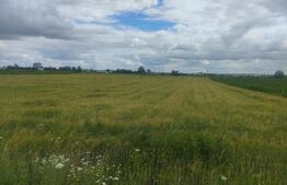 Teren extravilan, 6600 mp, Radauti