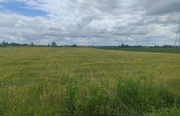 Teren extravilan, 6600 mp, Radauti