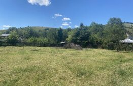 Casa traditionala + teren 2100 mp - Gura Humorului