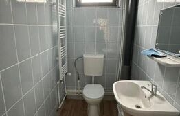 Spatiu comercial, cu destinatii multiple, 60mp, zona George Enescu 