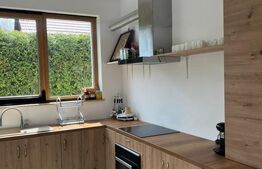 Afacere la cheie!! Pensiune 8 camere, 2 apartamente, zona Marginea-Sucevita