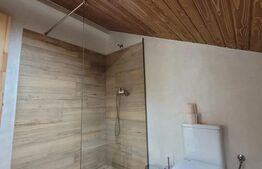 Afacere la cheie!! Pensiune 8 camere, 2 apartamente, zona Marginea-Sucevita