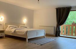 Afacere la cheie!! Pensiune 8 camere, 2 apartamente, zona Marginea-Sucevita