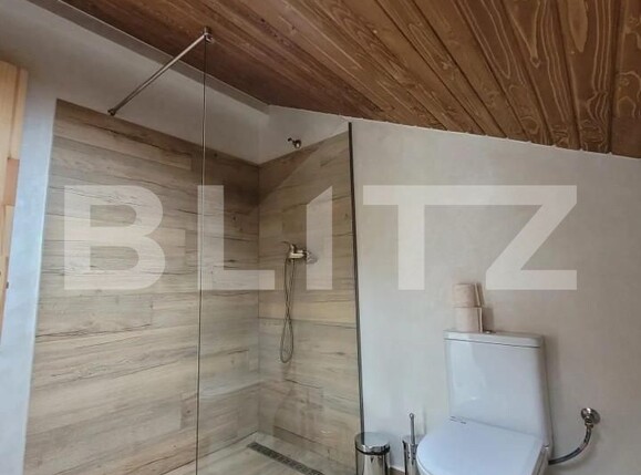 Spațiu comercial de vânzare Marginea - 153928SVC | BLITZ Suceava | Poza12