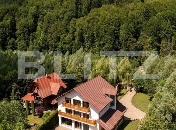 Spațiu comercial de vânzare Marginea - 153928SVC | BLITZ Suceava | Poza1