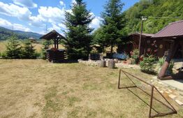 Oportunitate! Pensiune/casa de vacanta, Manastirea Humorului!