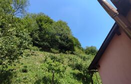 Oportunitate! Pensiune/casa de vacanta, Manastirea Humorului!