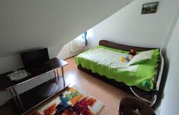 Oportunitate! Pensiune/casa de vacanta, Manastirea Humorului!