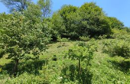 Oportunitate! Pensiune/casa de vacanta, Manastirea Humorului!