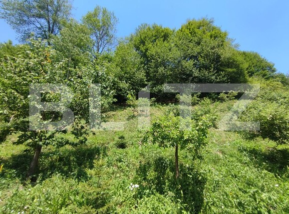 Casa de vânzare 6 camere Manastirea Humorului - 153970CV | BLITZ Suceava | Poza11