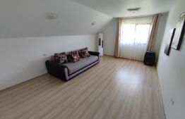 Casa/pensiune/casa de vacanta, 230 mp Cacica!