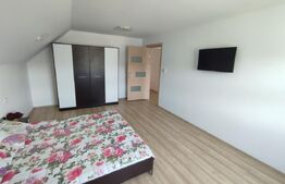 Casa/pensiune/casa de vacanta, 230 mp Cacica!