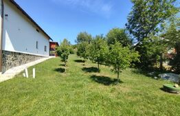 Casa/pensiune/casa de vacanta, 230 mp Cacica!