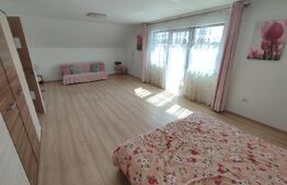 Casa/pensiune/casa de vacanta, 230 mp Cacica!