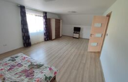 Casa/pensiune/casa de vacanta, 230 mp Cacica!