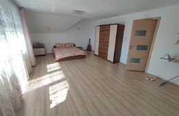 Casa/pensiune/casa de vacanta, 230 mp Cacica!