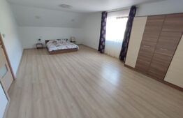 Casa/pensiune/casa de vacanta, 230 mp Cacica!