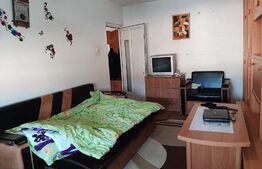 Garsoniera, 24mp, etaj intermediar, zona Catedrala