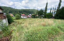 Teren Vatra Dornei 1504 mp