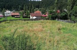 Teren Vatra Dornei 1504 mp