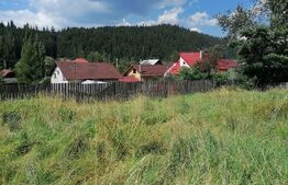 Teren Vatra Dornei 1504 mp