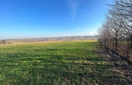 Oportunitate! Teren intravilan 13000 mp, cu casa veche, front 130 ml, utilitati, Lucacesti