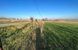 Teren de vânzare Central - 174500TV - Poza 1 din 1 | BLITZ Suceava | Poza8