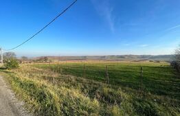 Oportunitate! Teren intravilan 13000 mp, cu casa veche, front 130 ml, utilitati, Lucacesti