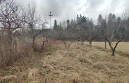 Casă individuala ,2500 mp teren,  în Putna