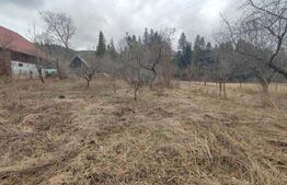 Casă individuala ,2500 mp teren,  în Putna