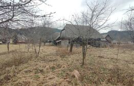 Casă individuala ,2500 mp teren,  în Putna