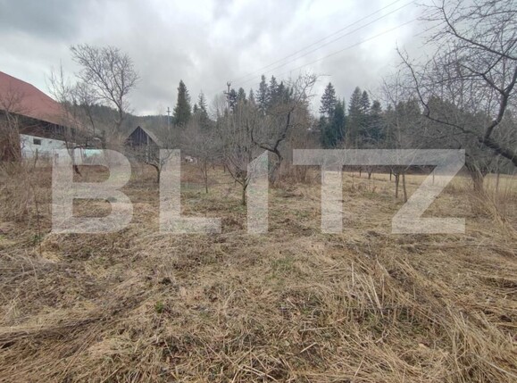 Casa de vânzare 4 camere Putna - 154009CV | BLITZ Suceava | Poza9