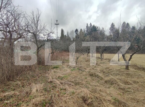 Casa de vânzare 4 camere Putna - 154009CV | BLITZ Suceava | Poza17