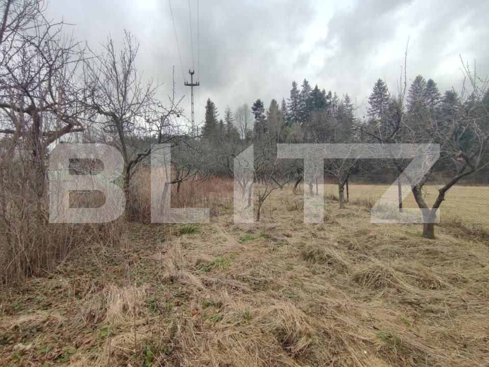 Casa de vânzare 4 camere Putna - 154009CV | BLITZ Suceava | Poza5