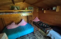 Teren intravilan cu livada, 8600 mp, Patrauti 