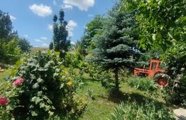 Teren intravilan cu livada, 8600 mp, Patrauti 