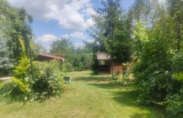 Teren intravilan cu livada, 8600 mp, Patrauti 