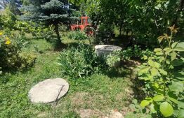 Teren intravilan cu livada, 8600 mp, Patrauti 