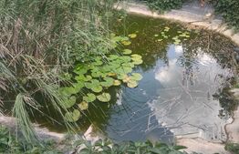 Teren intravilan cu livada, 8600 mp, Patrauti 