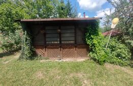 Teren intravilan cu livada, 8600 mp, Patrauti 