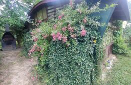 Teren intravilan cu livada, 8600 mp, Patrauti 