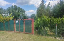 Teren intravilan cu livada, 8600 mp, Patrauti 