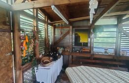 Teren intravilan cu livada, 8600 mp, Patrauti 