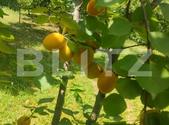 Teren de vânzare Patrauti - 154045TV | BLITZ Suceava | Poza22